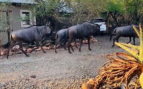 Shiringa Kruger Lodge